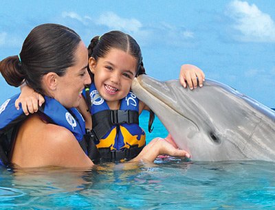 Dolphins in Cozumel if traveling by cruise ship