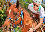 Bonanza Horseback Ride Tour