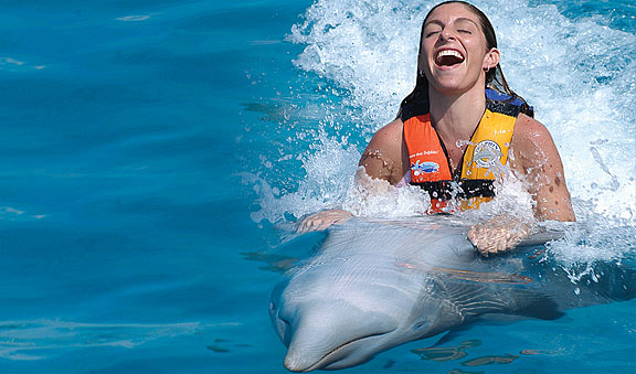Entretenimiento e interacciÃ³n con delfines