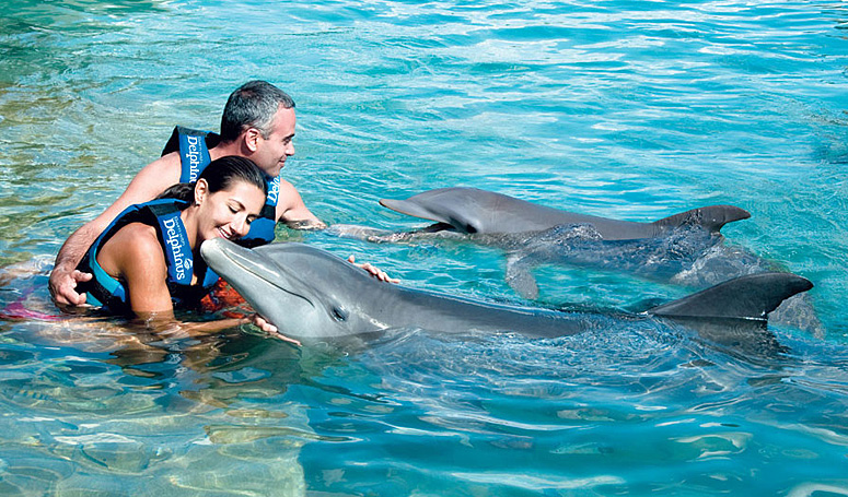 aventura nado con delfines