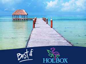 The Best of Holbox Tour