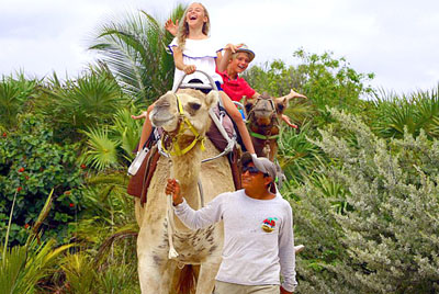 Maroma Camel Safari Tour
