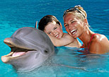 disfruta del nado con delfines en Cancun 