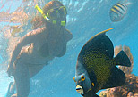 Snorkel en el arrecife de la Riviera Maya