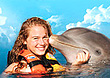 Swim with dolphins activities