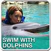 Cancun swim with dolphins