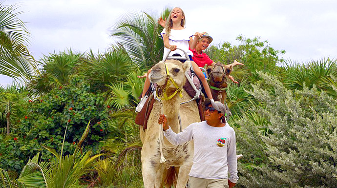 Camel Ride at Maroma Beach Riviera Maya
