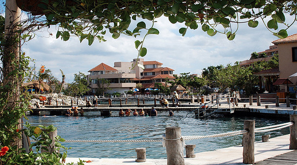 Dolphin facilities in Puerto Aventura