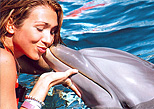 Besando un delfiin