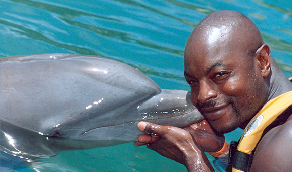 Conociendo a los delfines