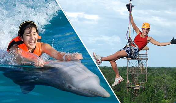 Combine two exciting adventures, dolphins and ziplines