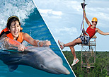 Combine two exciting adventures, dolphins and ziplines