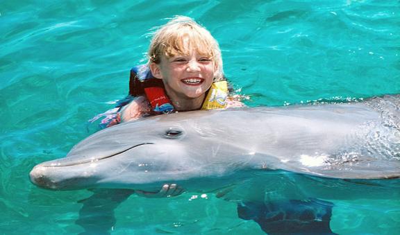 kids taking care of a dolphin
