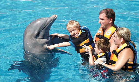 kids and dolphins together 