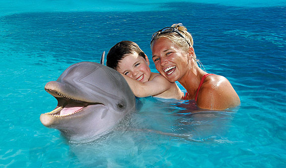 Royal Garrafon + Nado con delfines