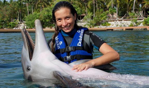 Dorsal Ride dolphin