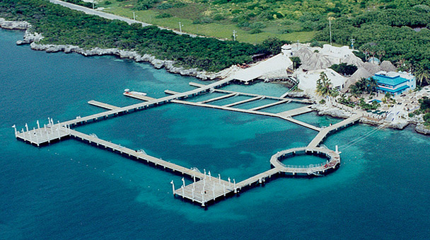 Visit Isla Mujeres Dolphinaris