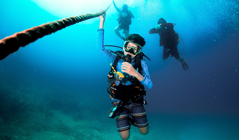 Great dive course for beginners