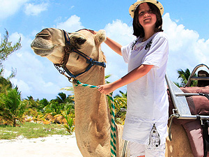 Camel experience in Cancun