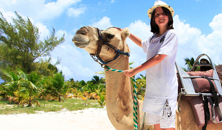 Camel experience in Cancun