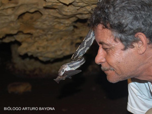 Biologo en la cueva de las serpientes colgantes