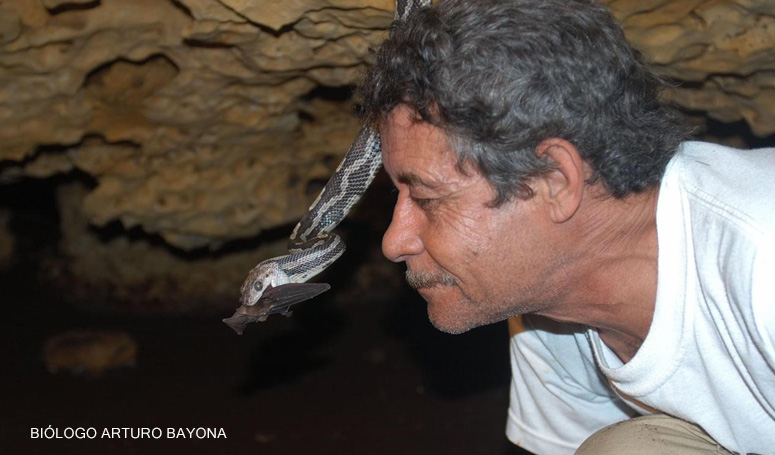 Biologist in the hanging Snakes Cave