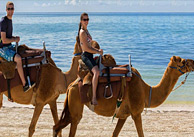 Paseo en Camello en Maroma Cancun