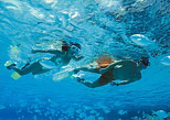 Beautiful snorkel in Cancun