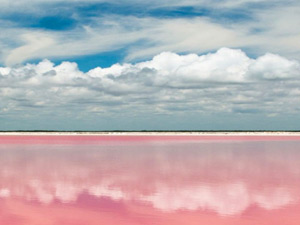 Paisajes rosados en Yucatan