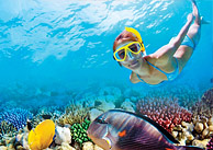 Reef Snorkeing Experience at Kay Club Puerto Morelos