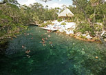 Cenote swimming in Tankah