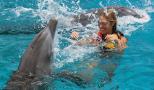 playing and swimming with dolphin