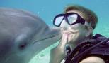 delfines y Buceo en Cozumel