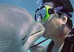 besa a un delfin