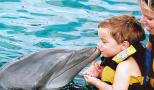 kids kiss a dolphin