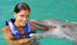 Interact with the friendly dolphins