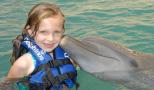 learn dolphins communication skills