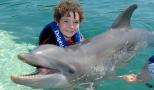 abraza un delfin