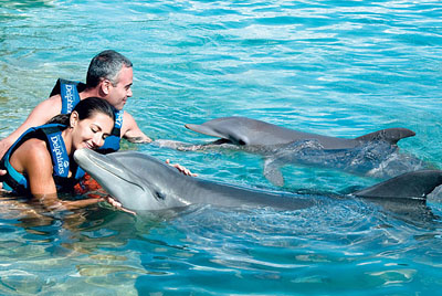 aventura nado con delfines