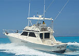 Deep Sea Fishing Cancun Tour