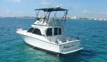 shared tours or rent a private boat