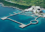 Visit Isla Mujeres Dolphinaris