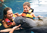 Swim with dolphins, sea lions and manatees