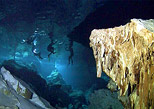 Swim into cenotes and Akumal snorkeling tour