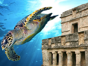 Tulum and Snorkel with Sea Turtles  Tour