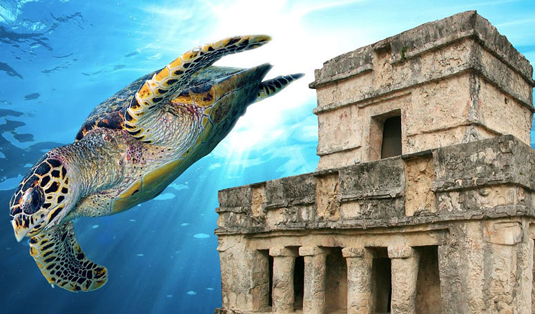 Tulum Mayan Ruins and Snorkel with Turtles
