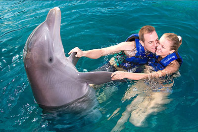 Dancing with dolphins