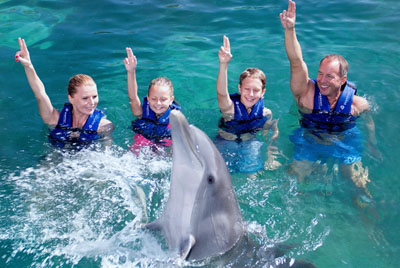 Interactuando con delfines