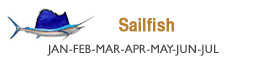 sailfish-fishing