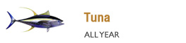 tuna-fishing